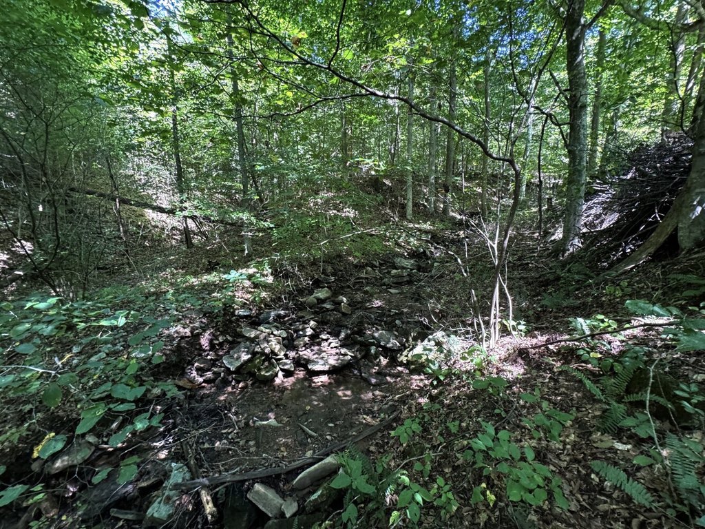 Picture 12