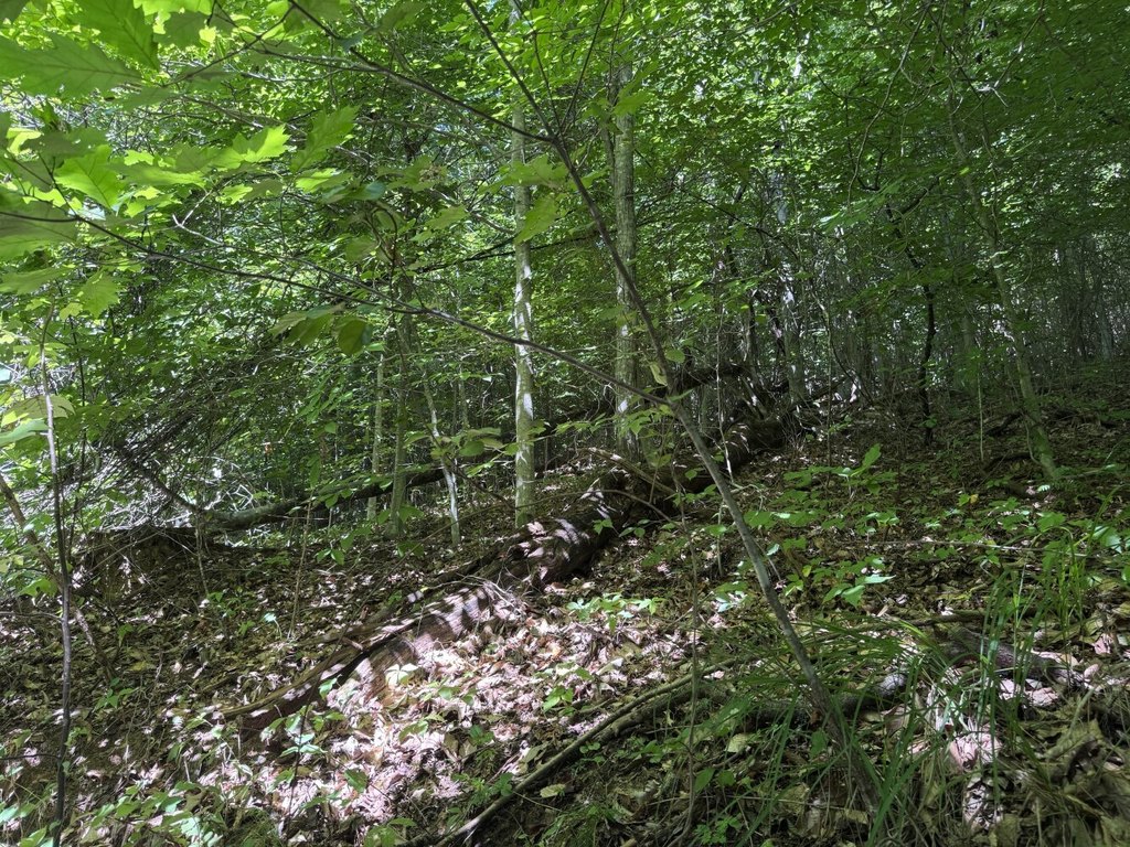 Picture 32