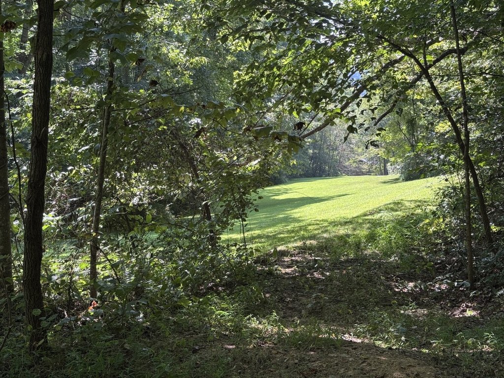 Picture 31