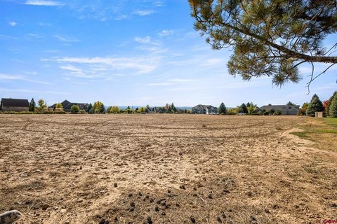 Montrose, CO Land For Sale