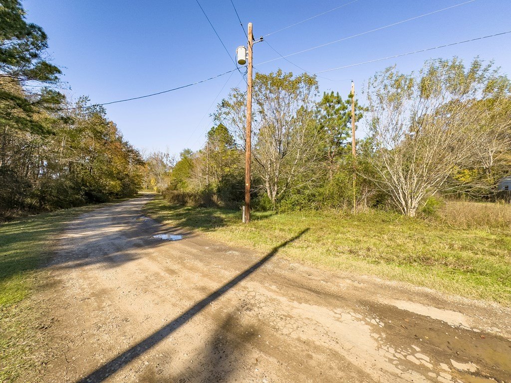 Picture 5