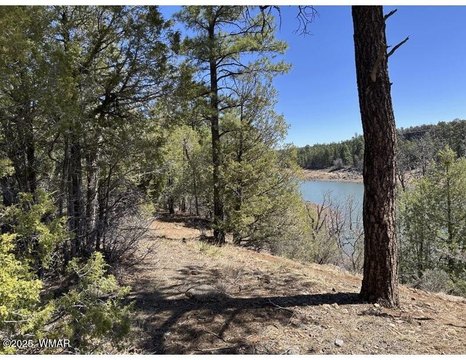 Show Low Lakefront Land