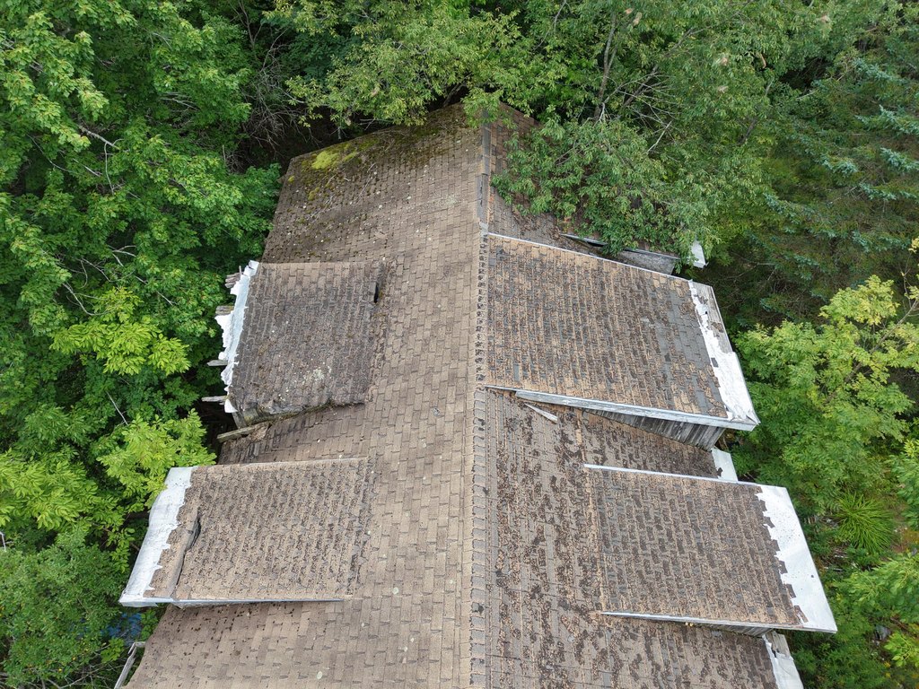 Picture 4
