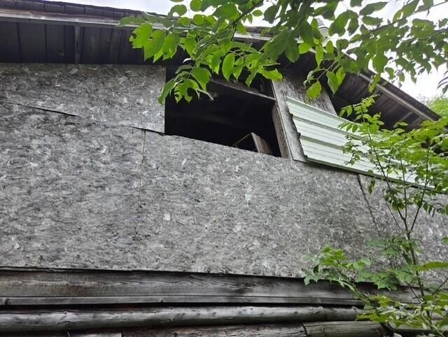 Picture 6