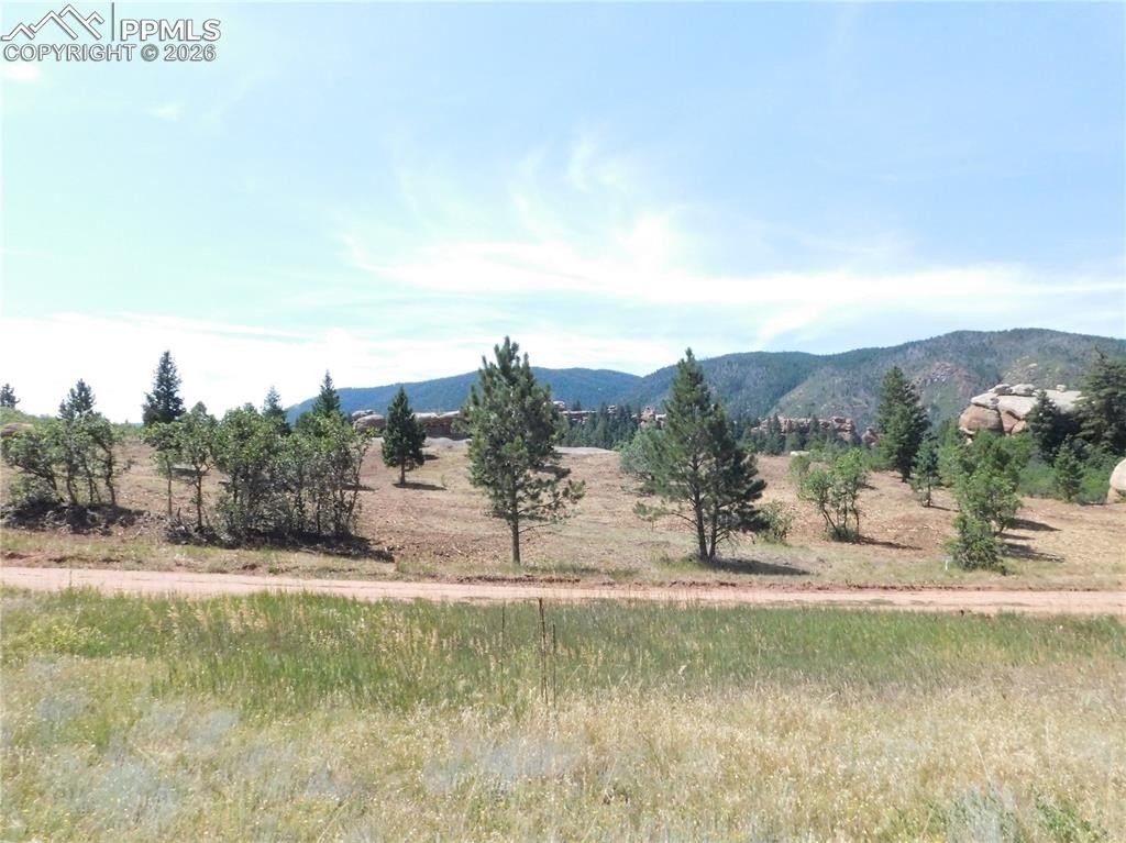 Larkspur Land with Open Space