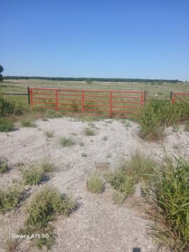Land, Bellevue, TX