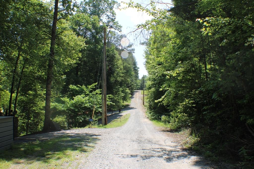 Picture 13
