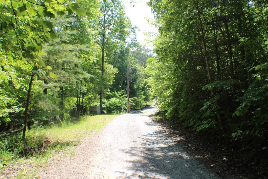 Picture 14