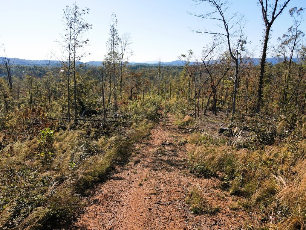 Picture 36