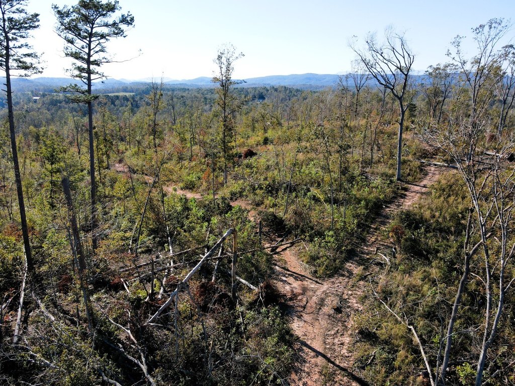 Picture 40