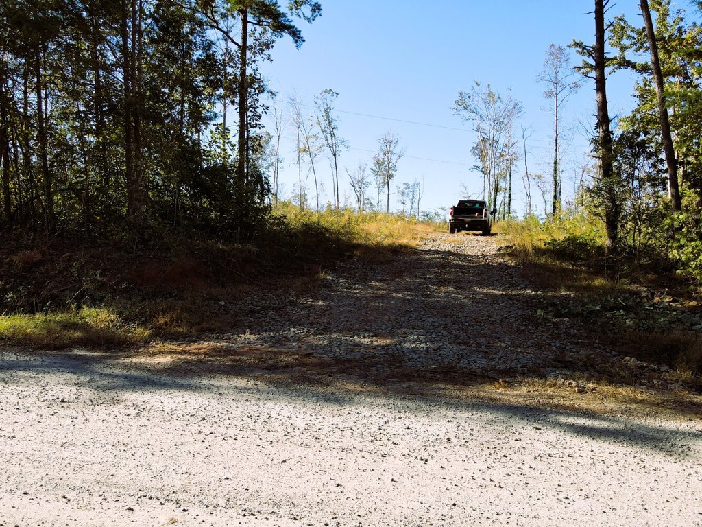 Picture 46