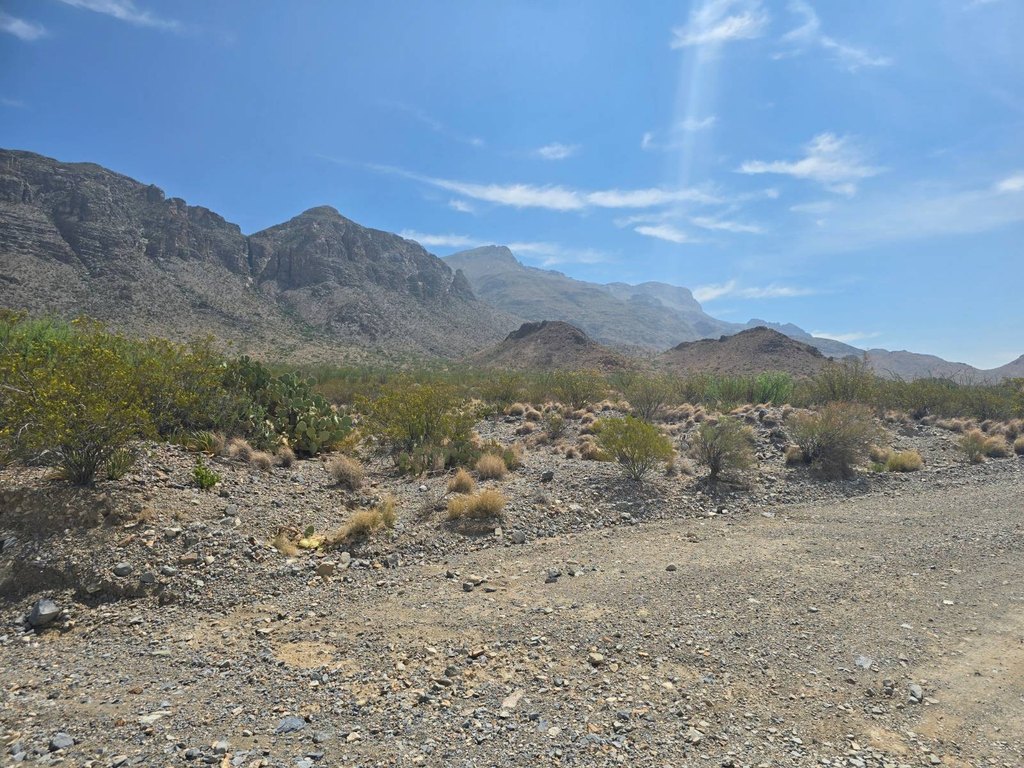 Picture 9