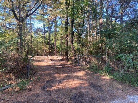 Land, Fayetteville, AR