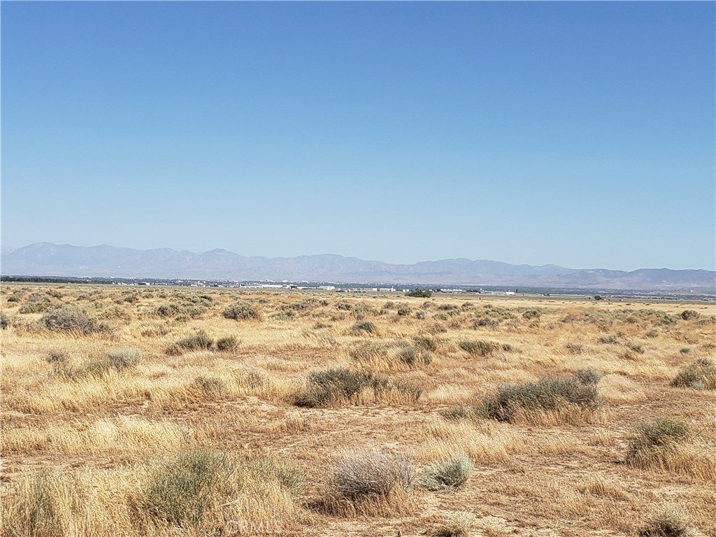 Picture 3