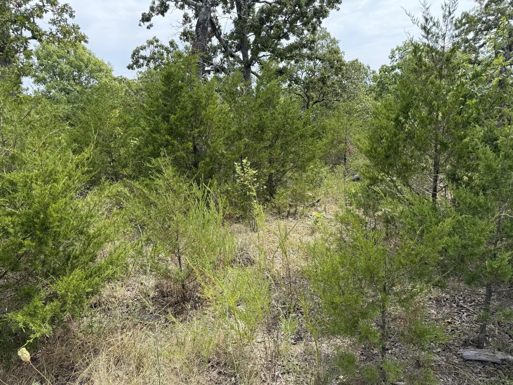 Picture 7