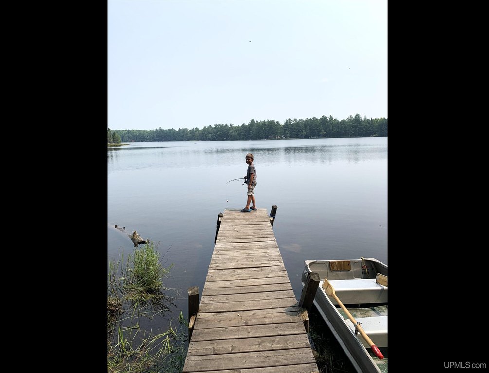 Picture 4