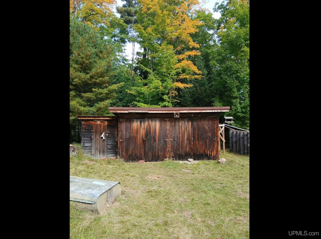 Picture 7