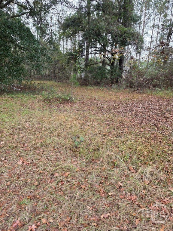 47.4 Acres in Bulloch County