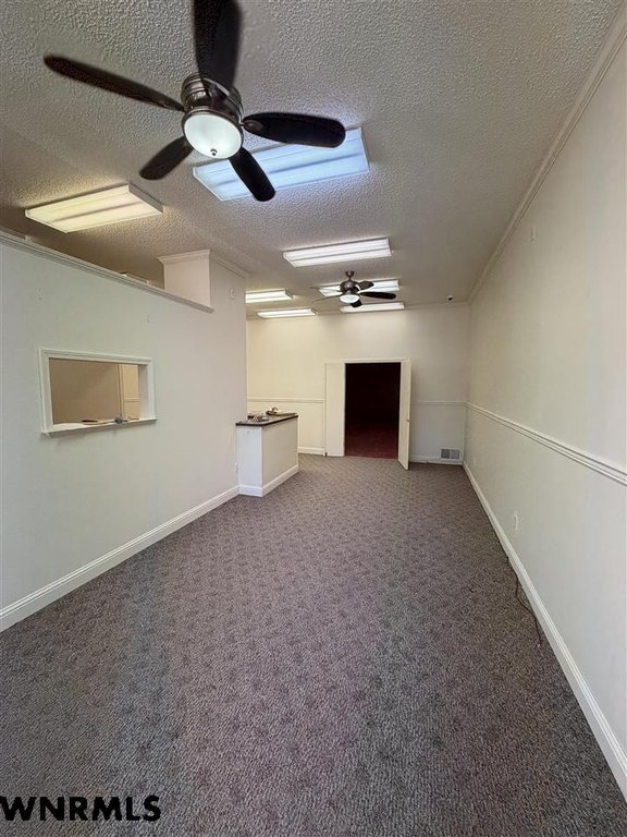 Picture 38