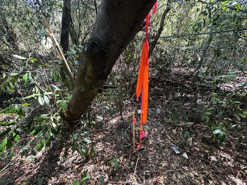 Crestview, FL Land Package