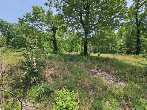 Land Near Neosho, Missouri