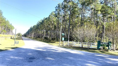 Cleared Residential Lot
