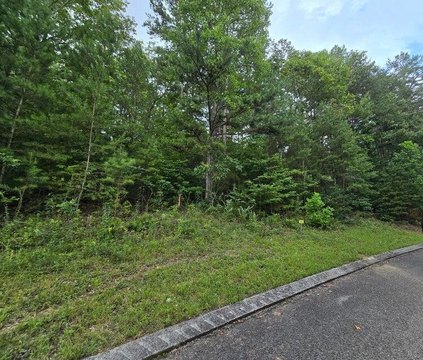 LAND - Dunlap, TN