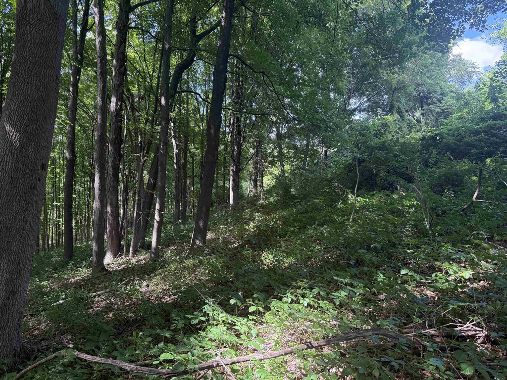 Picture 7