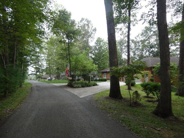 Picture 4