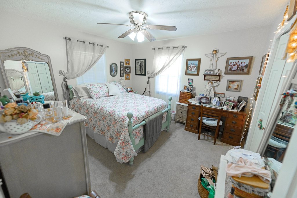 Picture 11