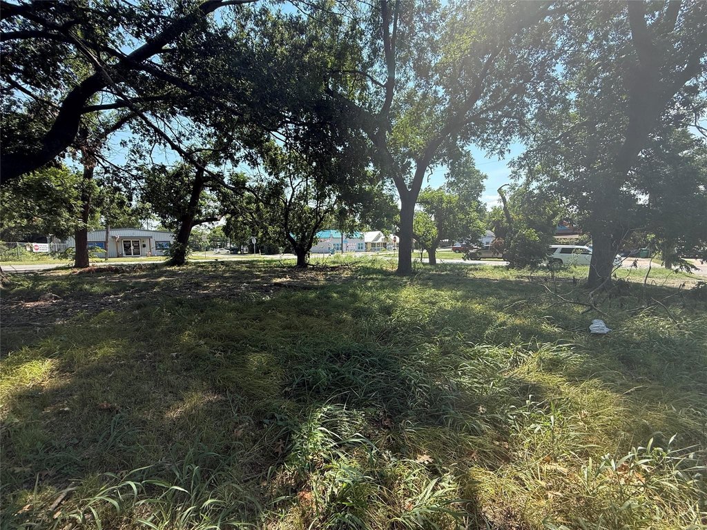Picture 2