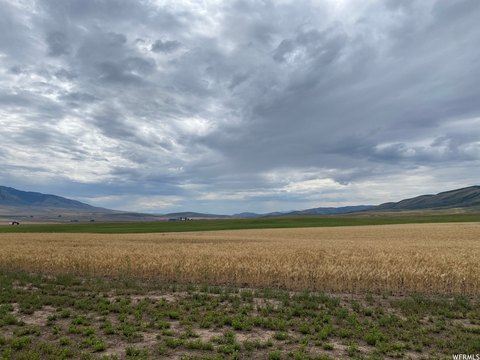 160 Acres in Malad City