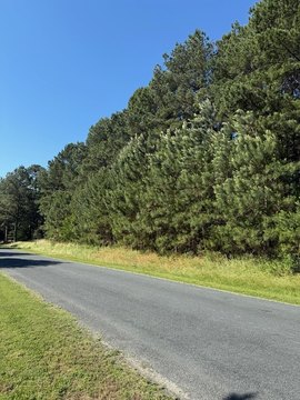 Two Acre Wooded Residential Lot
