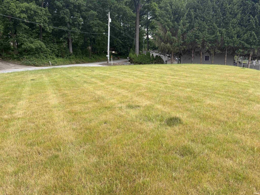 Picture 11