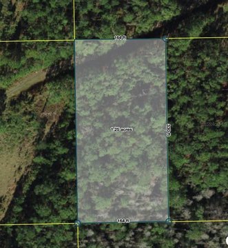 LAND - POLK CITY, FL