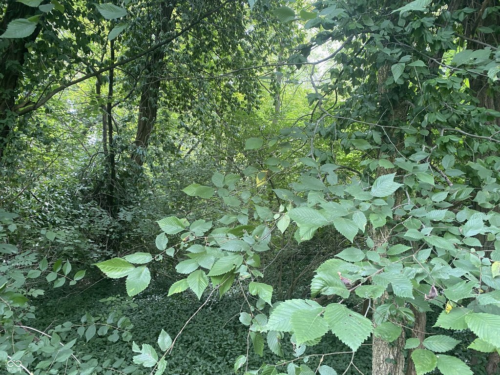 Picture 4