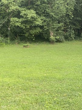 LAND - Indianapolis, IN