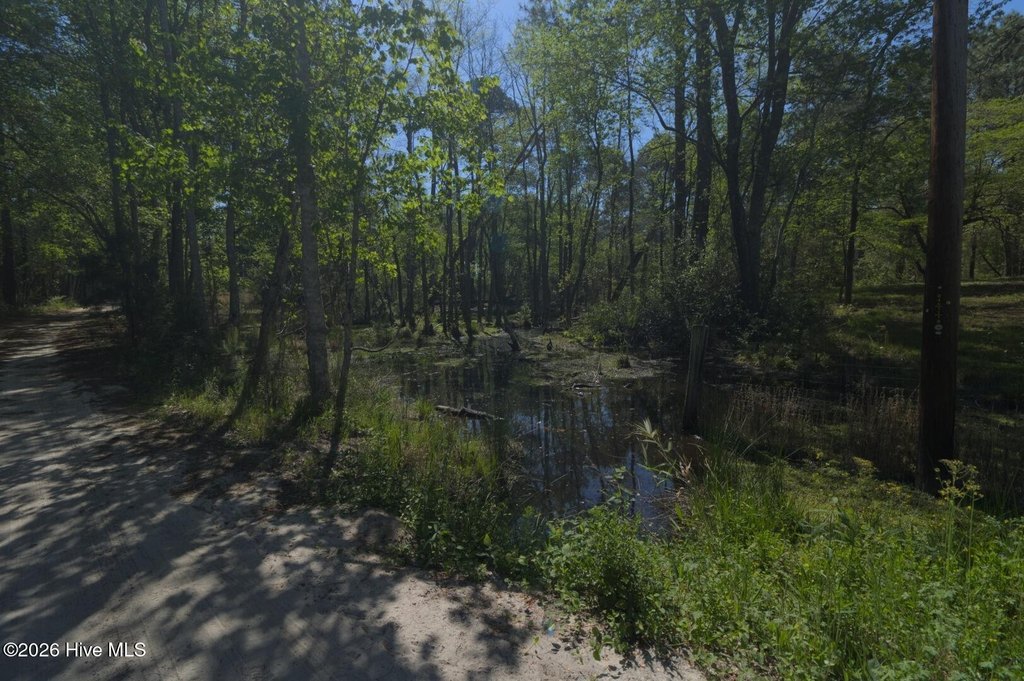 Picture 25