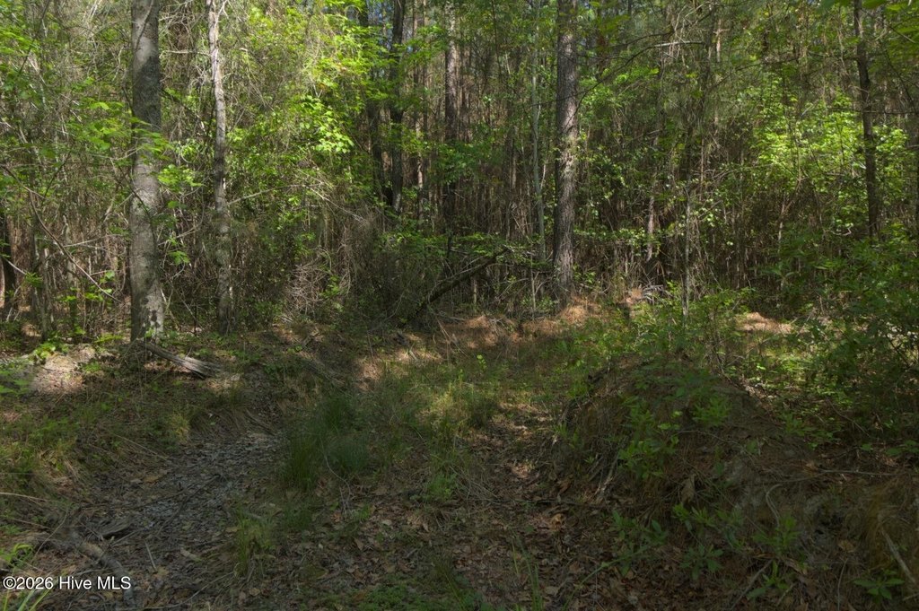 Picture 27