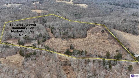Wooded Hunting Tract with Open Ground