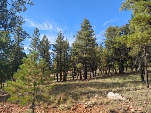 Land, Happy Jack, AZ