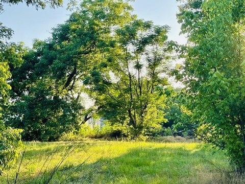 LAND - Mineola, TX