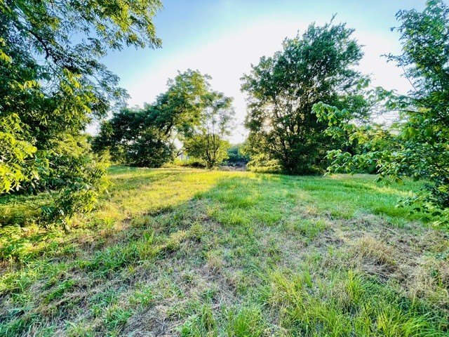 Picture 6
