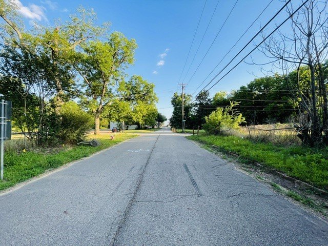 Picture 8