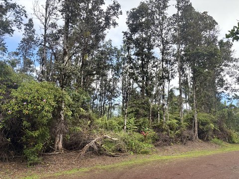 Vacant Land in Black Sand Beach