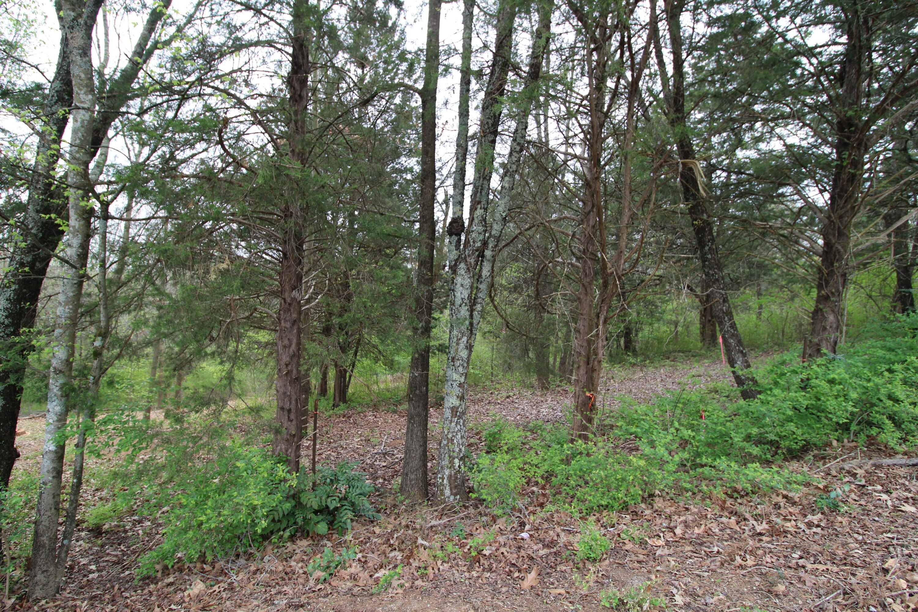 Residential Lot in Hixson, TN