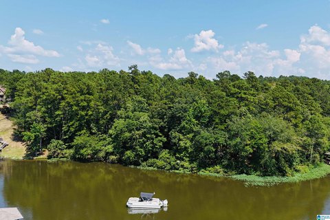 Gentle-Slope Lakefront Lot