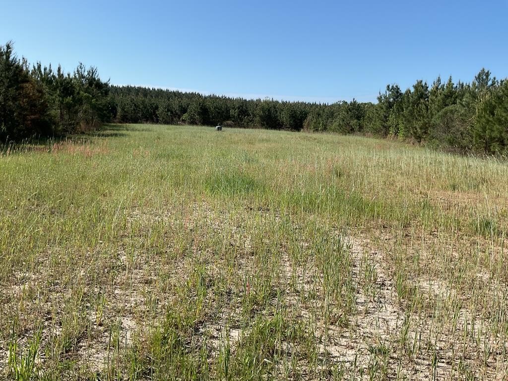Timber Investment and Recreation Tract