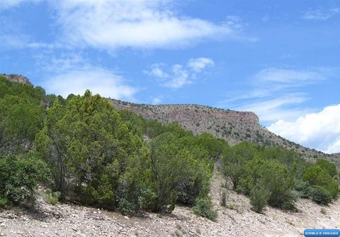 LAND - Mimbres, NM