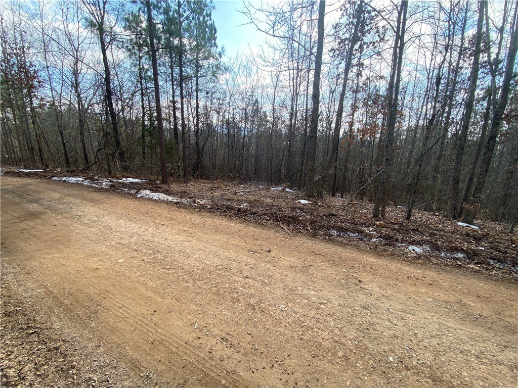 Picture 2